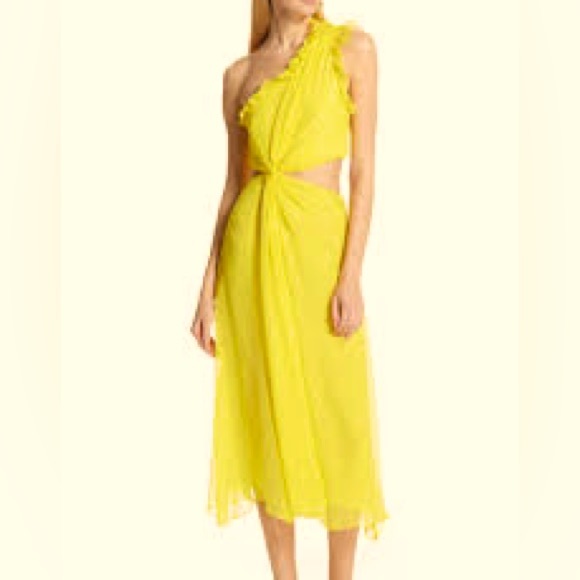 Cinq a sept soft silk dress - Picture 5 of 5